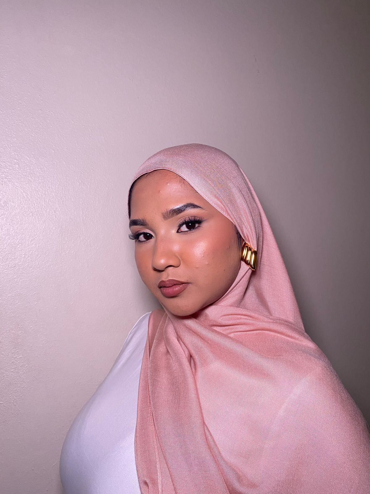Premium Modal ~ Dusty Rose — view 2