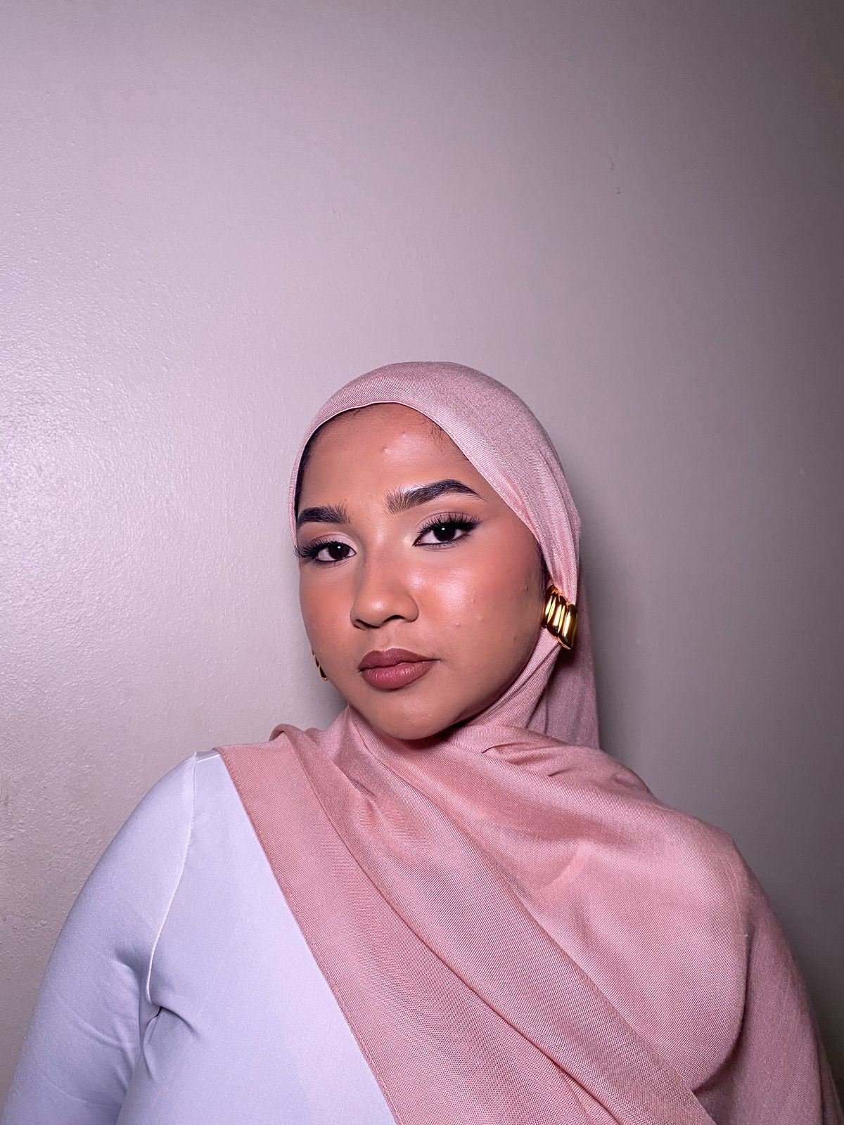 Premium Modal ~ Dusty Rose — view 3