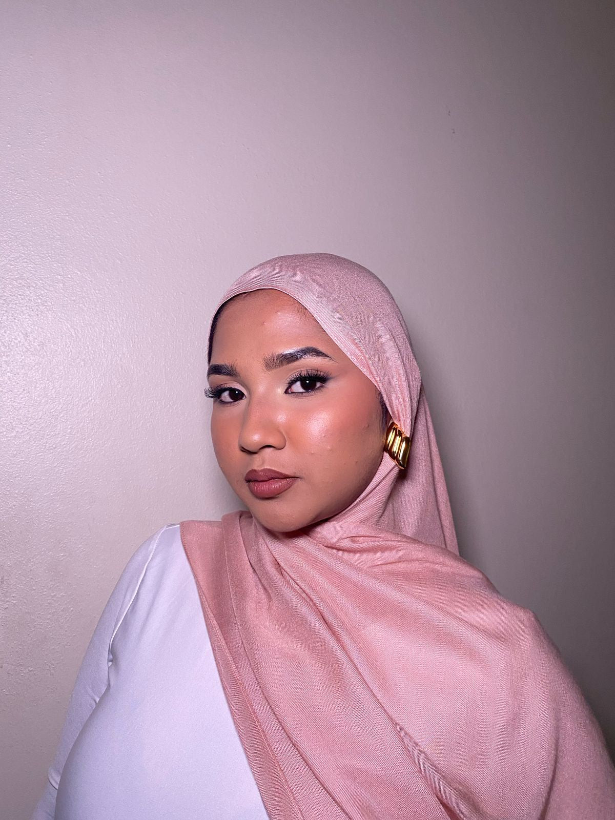 Premium Modal ~ Dusty Rose — view 4